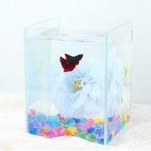 실크 플라워 베드 베타 키우기 세트 연블루15H