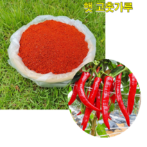 윤득종 농부의 전남 함평 2022 햇 고춧가루 500g 1kg 2kg 3kg 5kg 국산 고춧가루 고운 고춧가루 건고추 청양 고추가루, 안매운맛 5kg 일반입자