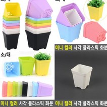 플라스틱화분 소 화이트 귀여운화분 분재화분 블루베리화분