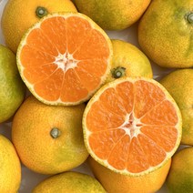 제주 하우스 감귤 하우스귤 가정용 산지직송 1~5kg, 가정용 꼬마과 1kg 19~24과, 1개