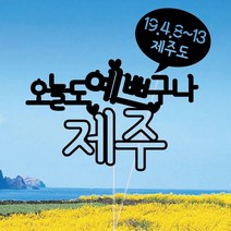 WPM 부산 여행토퍼 국내, 1개, 2-1.일반토퍼_오늘도예쁘구나