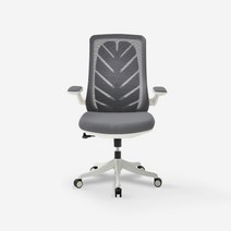 라무스 메쉬 패브릭의자 학생 컴퓨터 공부 사무용 사무실의자, 라무스_그린_LF