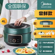 멀티쿠커 만능쿠커 캠핑용 세라믹 전기 압력 인스턴트 냄비 스마트 가전 밥솥, 10.B - AU