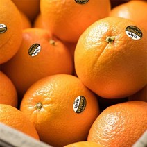 [자연맛남] [썬키스트] 고당도 블랙라벨 오렌지 10과 중과(개당 190g내외), 상세 설명 참조