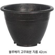 원형 고무화분 42cm 블루베리 나무 텃밭 옥상, 1개