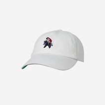 팔라스 패럿 6-패널 캡 화이트 - 22SS Palace Parrot 6-Panel White - 22SS