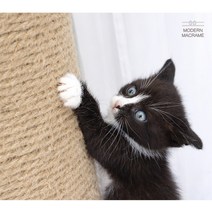 리필 고양이 마끈 스크래쳐 12mm 15mm, 마끈 12mm 1M