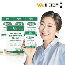비타민마을 기억력혈행 은행잎추출물 생유산균 120캡슐 4박스, 단품, 단품