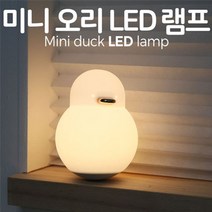 RT 미니 LED 오리램프 D500, 단품