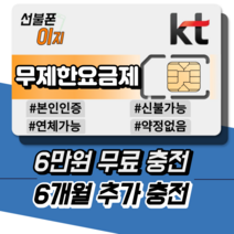 선불폰이지 KT 무제한요금제 6만원무료충전 선불폰유심 선불폰개통 6개월추가충전 알뜰유심 USIM, 선불 데이터 슬림 [월 36,300원], 유심비 [+10,000원]