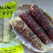 강원도 정선 찰옥수수 흑찰옥수수 삶아 찐 냉동옥수수 17cm내외 미흑찰옥수수, 12개, 냉동 흑찰옥수수 17cm내외
