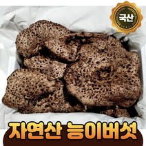 자연산 생 능이버섯 국산 능이 500g 1kg 능이선물 버섯 자연산능이 국산능이버섯 능이버섯1kg 자연산버섯 가정용 선물용