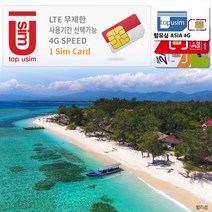 탑유심(ASIA) AIS True 인도네시아 유심 4G LTE 데이터무제한, 탑유심(ASIA) 4G 22일 데이터무제한, 1개