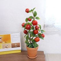 달리베리 내추럴 빨간 사과나무 미니 조화 화분 돌상 백일상 인테리어소품