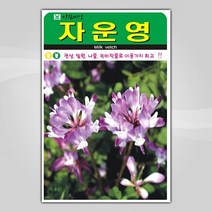 슬로시 꽃 씨앗 모음 꽃씨 허브 허브씨, 자운영1000립(아람)