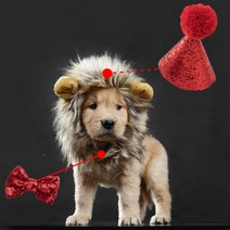 귀여운 사자탈 고양이 강아지 생일모자 꼬깔모자 고깔모자 리본 보타이 qr+9490eA, 쿠팡op 사자칼퀴모자(L)