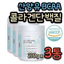 운동후 헬스 필라테스 분리유청 단백질 피쉬콜라겐 프로틴 BCAA 비씨에이 에이 운동전 운동후 20대 30대 40대 남자 남성 몸만들기 유산균 유상균 피쉬 콜라겐 보충제 쉐이크