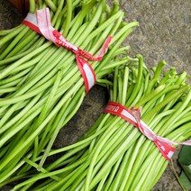 국내산 노지 생 고구마순 1kg 내외, 1kg(1개), 1개