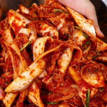 더아삭김치 100% 국내산 전라도 배추겉절이 당일제조, 5kg, 1개
