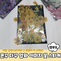 핸드폰 노트북스티커 감성 주문제작, 폰꾸 다꾸 압화 이미지 꽃 스티커 옐로우