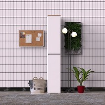 디션 주방 틈새장 300, 오크