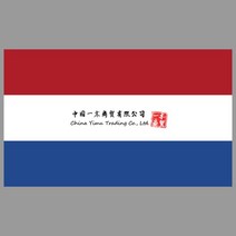 다이캐스트사이버트럭장난감 다이캐스트테슬라사이버트럭 국기 리튬 공화국 데칼 인쇄 물질 스티커 윈도우, 16 라이트 그린_03 wide25cm