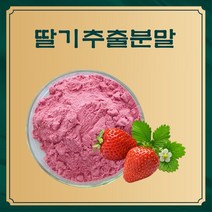 딸기추출분말 50g 샘플, 단품, 1개