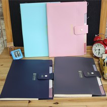 날쌘거북이 정품! A4사이즈 5칸 포켓 디바이드 화일케이스 수납공간 튼튼한 무광재질 파일케이스, 네이비