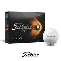 타이틀리스트 프로브이원 골프공 PRO V1, 화이트