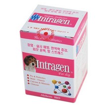 강아지영양제 200정 인트라젠정 애견 _ 63827EA, 본상품선택
