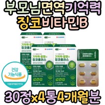 징코 비타민B 부모님 면역력 기억력 좋아지는 영양제 직장인 청소년 두뇌 기억력에좋은 플라보놀배당체 판토텐산 아연 홈쇼핑 추천 영양제 비타민B 에네저생성 면역력높이는 영양재 유튜브