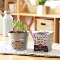 소파 제거 섬유 해피홈 스프레이 진드기 매트리스 죽이기 없애는법 제거 살충제 싹 제로 진드기 스프레이, 스위트바질