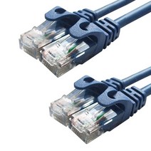 대원티엠티 CAT 5E UTP 랜 케이블 10m DW-UTP5E, 블루, 2개입