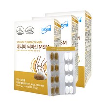 애터미 터마신 MSM, 3개, 96.256g