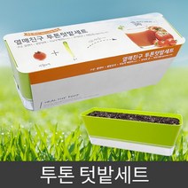 베스트유통 집에서 채소키우기 베란다 실내 텃밭 화분, 고기친구
