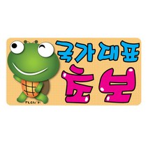 플로엠 차량용 스티커 300x150mm F0005 국가대표 초보, 단품