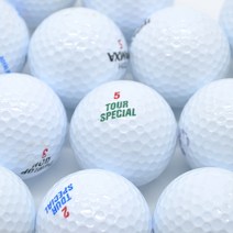 던롭 화이트 A- 등급 10알 골프공로스트볼 골프시즌