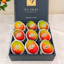 프리미엄 골드망고 애플망고 머스크 멜론 샤인머스켓 선물 세트 혼합 과일 세트 추석, 애플망고 선물세트 4kg내외 9과