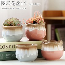 다육화분 다육이 심폴 화분 식물 미니 화분세트, 도자기, 옵션17