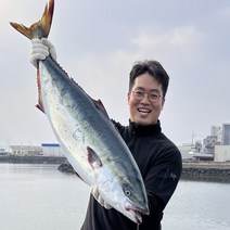 제주 마라도 방어 모슬포 대방어 특방어 필렛 손질 회 택배 국내산 자연산 제철, 7~7.8kg, 한마리