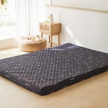 핀잭슨 프리미엄 12cm SS 7존 매트리스 토퍼