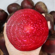 제주도 무농약비트 햇비트 생비트 비트 3kg, 푸띠 제주 무농약 비트 3kg 특 7개내외