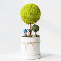 공기정화식물 스칸디아모스 천연이끼 빅플랜트 화분 청정식물 플랜테리어 대형 토피어리 개업선물 집들이선물, 01_스프링그린