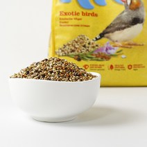 [21102] 리오 핀치 데일리 혼합알곡 (1kg) 십자매 금화조 카나리아 사료, 단품