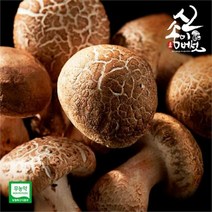 보섭이네푸드 송이향 품은 무농약 신송이버섯 1kg 내외 실속형, one coler/free