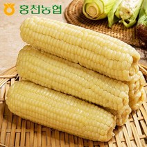 [웰굿][홍천농협] 산지직송 강원도 홍천 찐 찰옥수수 20개(15cm이상), 20개