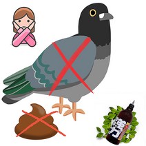 5배강한 5UP 강력 비둘기 접근금지 1000ml, 5UP강력비둘기접근금지1000ml