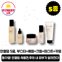 [본사정품][당일출고] 인셀덤 기초 5종 부스터 세럼 크림 미스트 카밍 탄력 보습 촉촉한 피부 수분공급 광채 피부 화장품 윤기 피부 인생크림 피부미인 물광피부 인셀덤크림, 5종세트