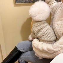 펫먼트 강아지 꽈베기 니트 스웨터, 베이지