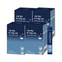 고업 액상 마그네슘160, 600ml, 4개